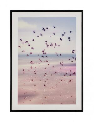 BIZZOTTO Tisk na plátně VOYAGE 50x70cm